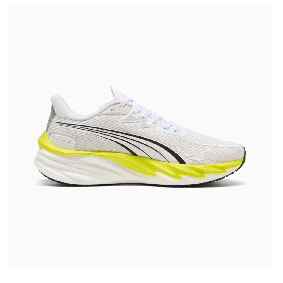 andriko-running-puma