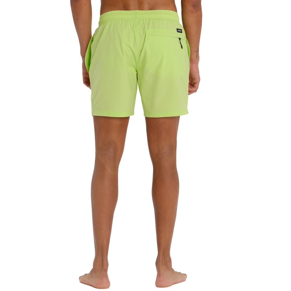 261.EM508.36-LIME_3